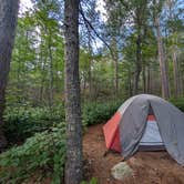 Review photo of BWCA Entry Point: 6 - Slim Lake - Campsite 2031 by Amy G., July 21, 2025