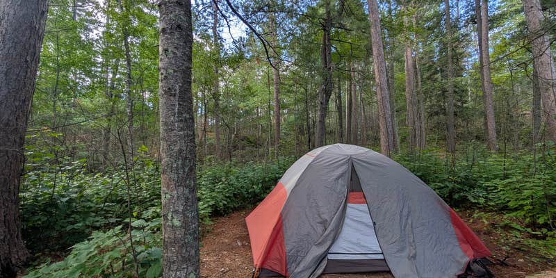 Camper submitted image from BWCA Entry Point: 6 - Slim Lake - Campsite 2031