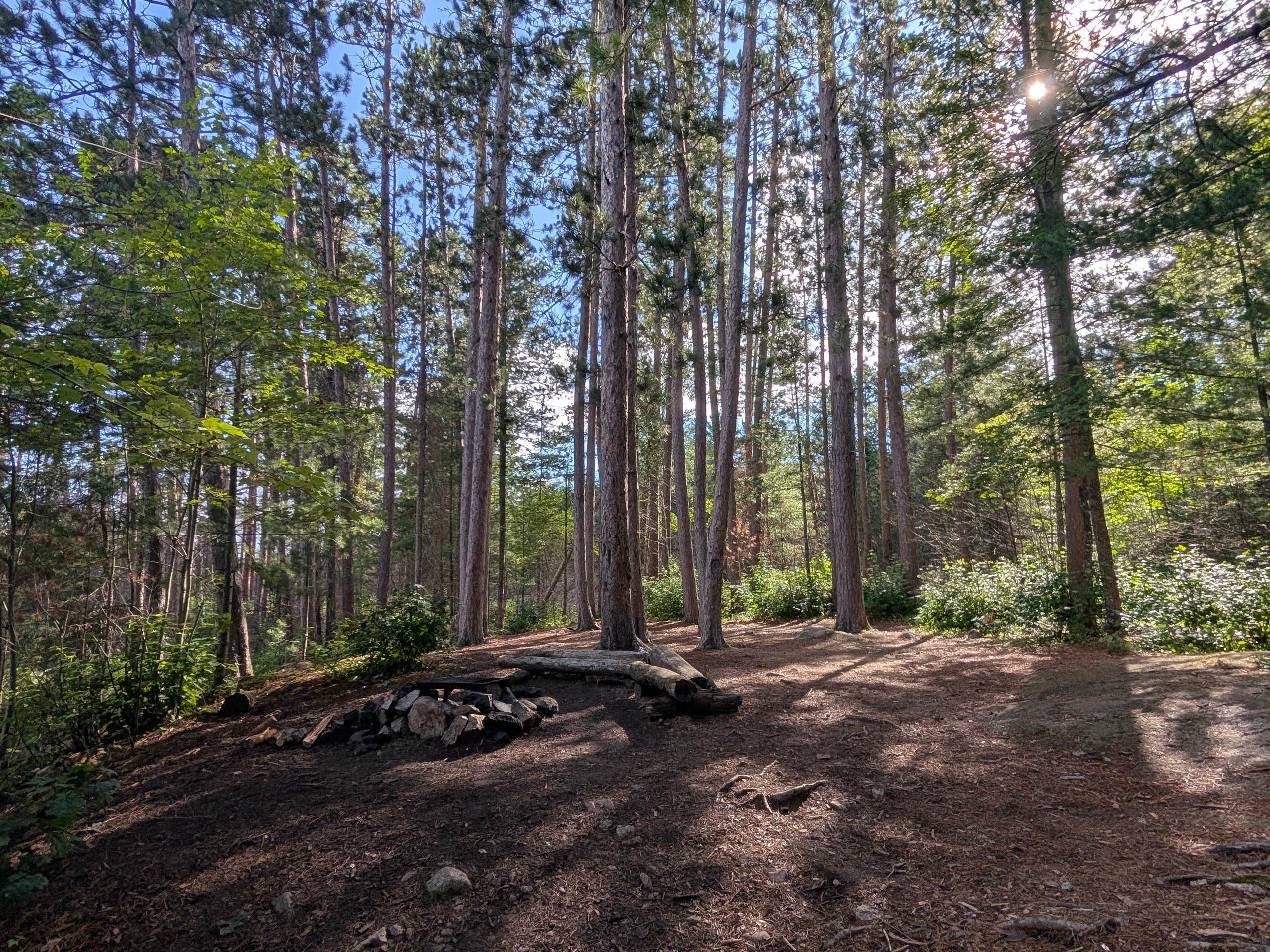 Camper-submitted photo at BWCA Entry Point: 6 - Slim Lake - Campsite 2031 near Ely, MN
