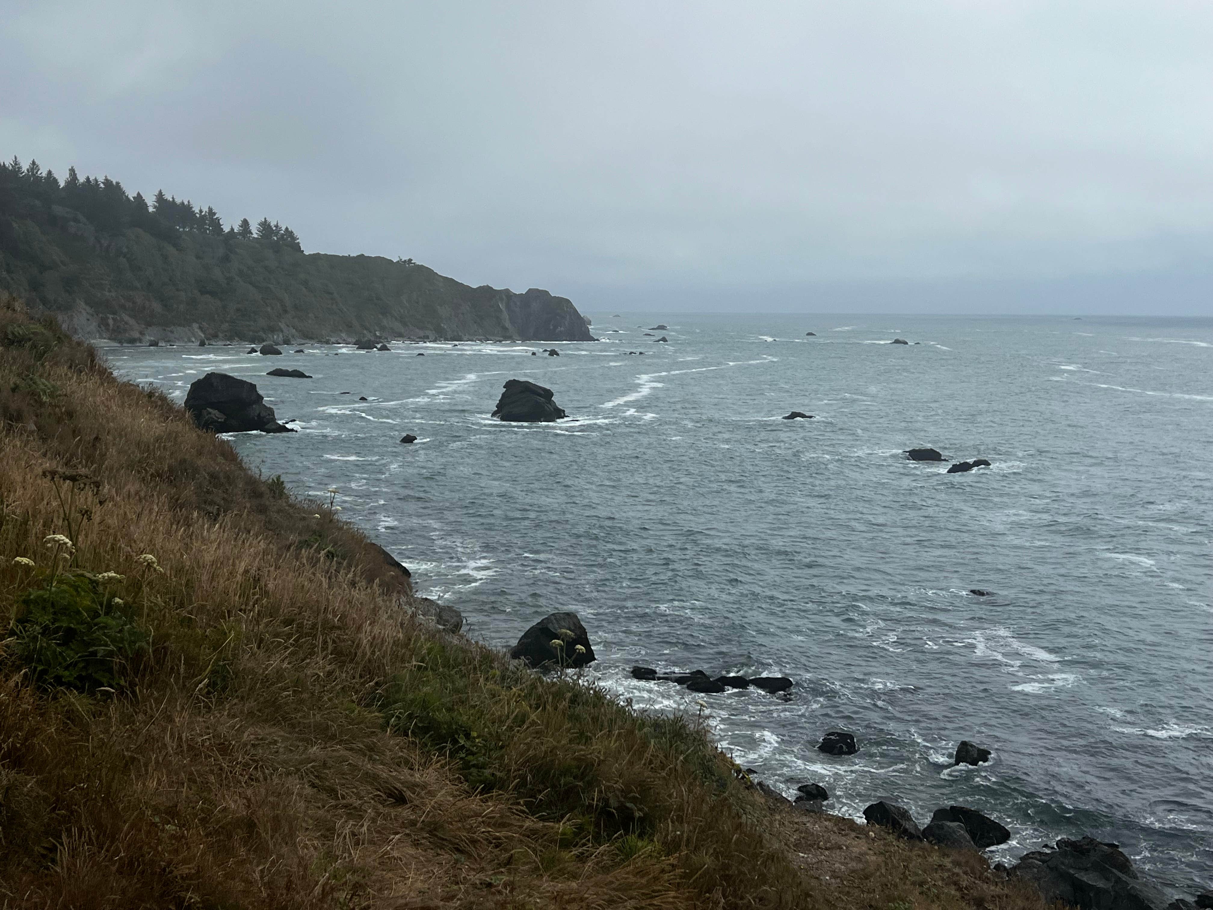 Camper-submitted photo at Azalea Glen RV Park & Campground near Trinidad, CA