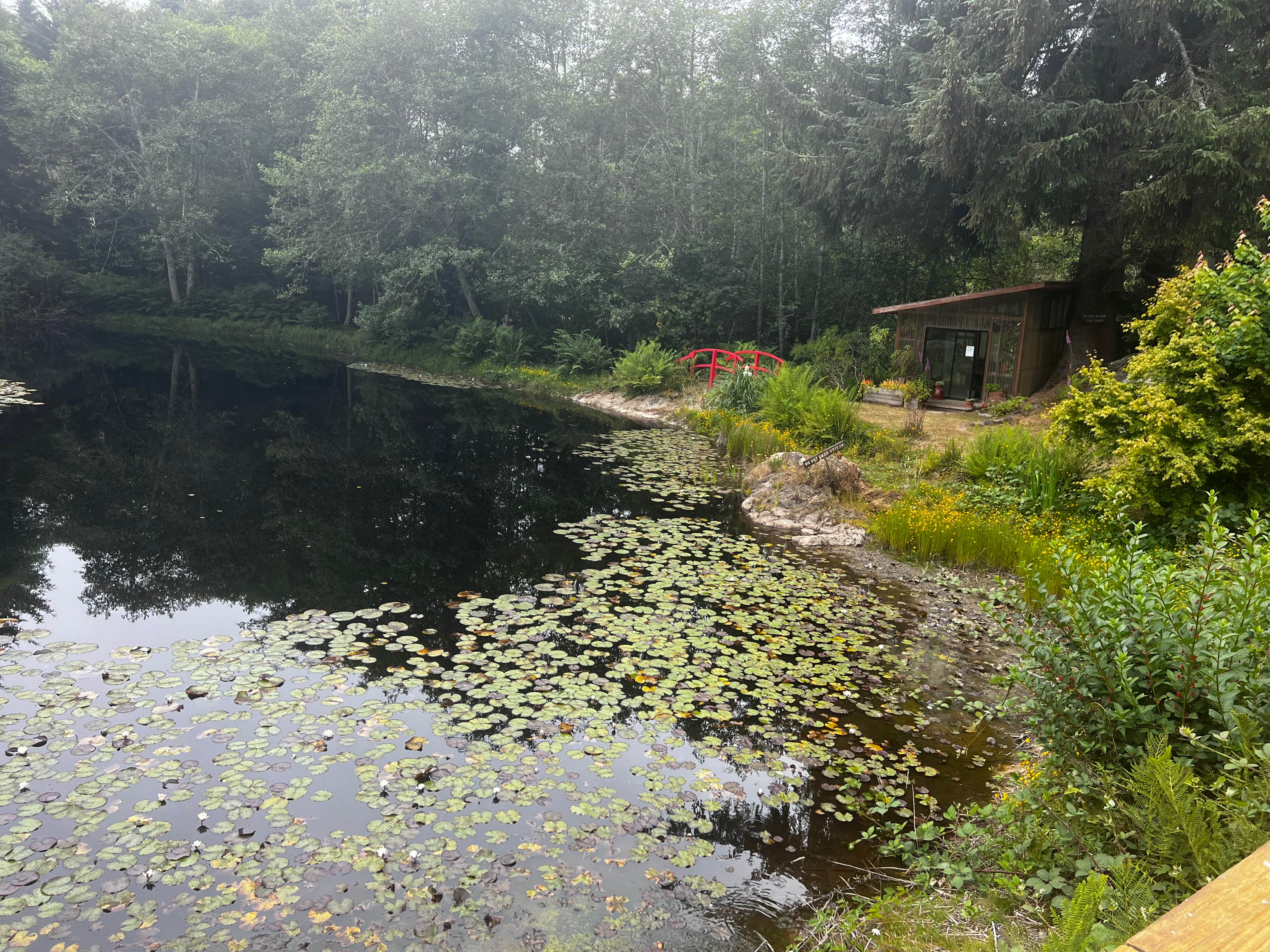 Camper-submitted photo at Azalea Glen RV Park & Campground near Trinidad, CA