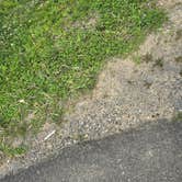 Review photo of Lake Erie State Park Campground by Brian P., July 21, 2025