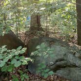 Review photo of Boulder Woods Campground by Erik W., July 21, 2025