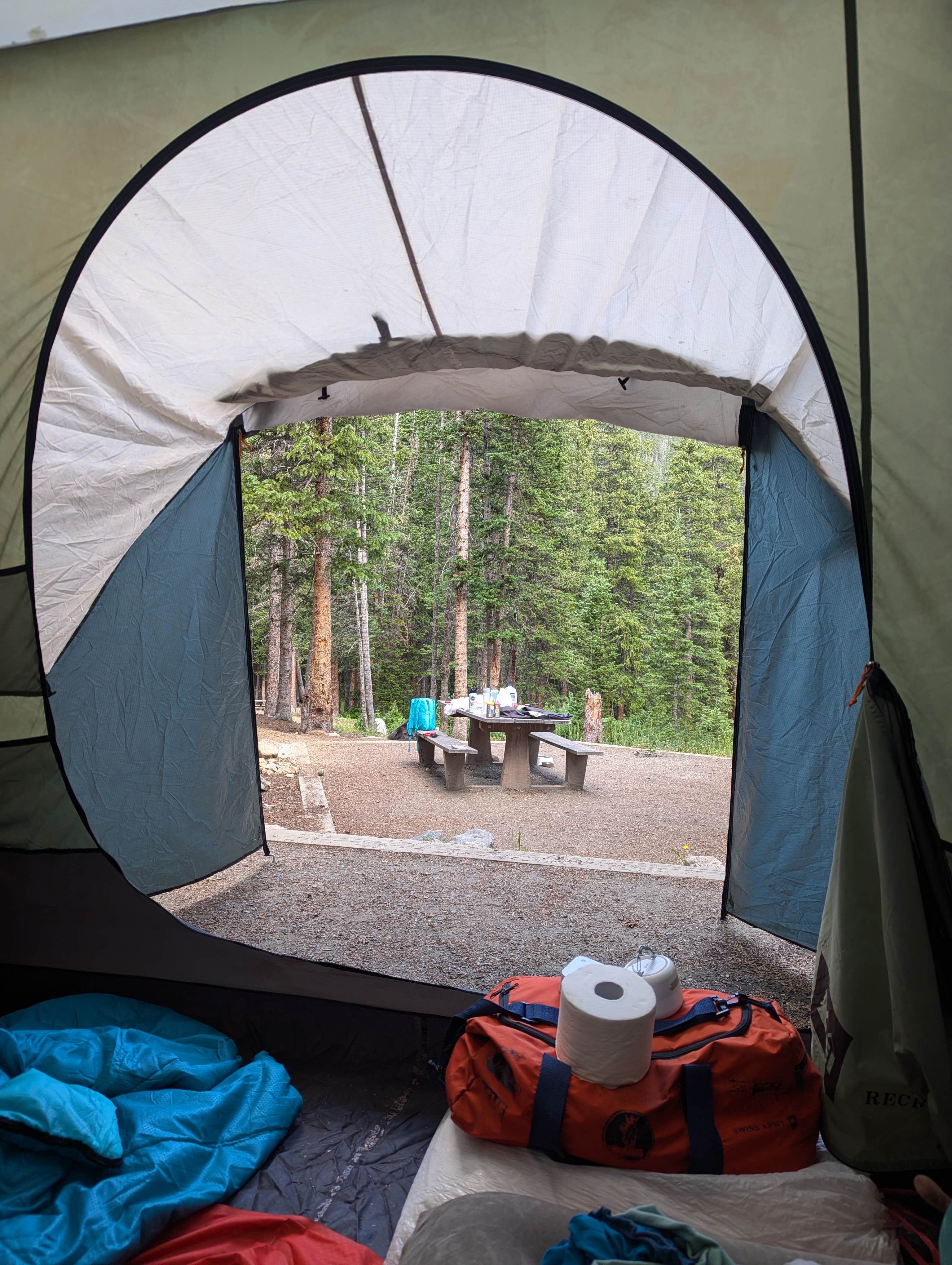 Camper submitted image from Guanella Pass Campground - 1