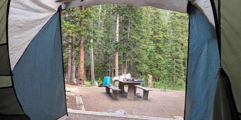 Camper submitted image from Guanella Pass Campground