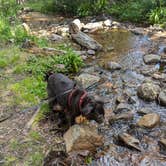 Review photo of Guanella Pass Campground by Christina K., July 21, 2025