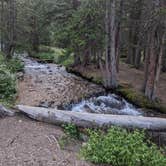 Review photo of Guanella Pass Campground by Christina K., July 21, 2025