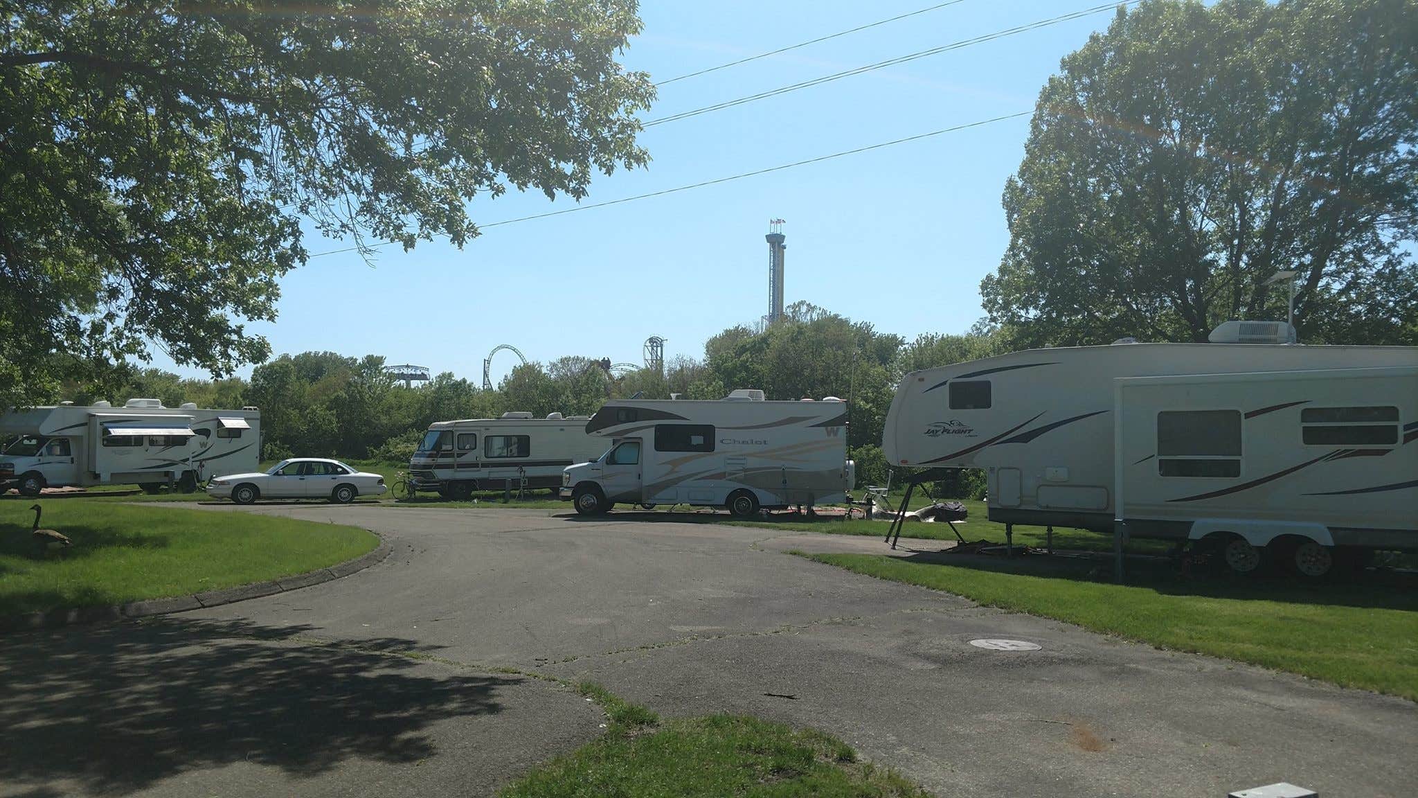 Camper-submitted photo at Adventureland Campground near Saylorville Lake
