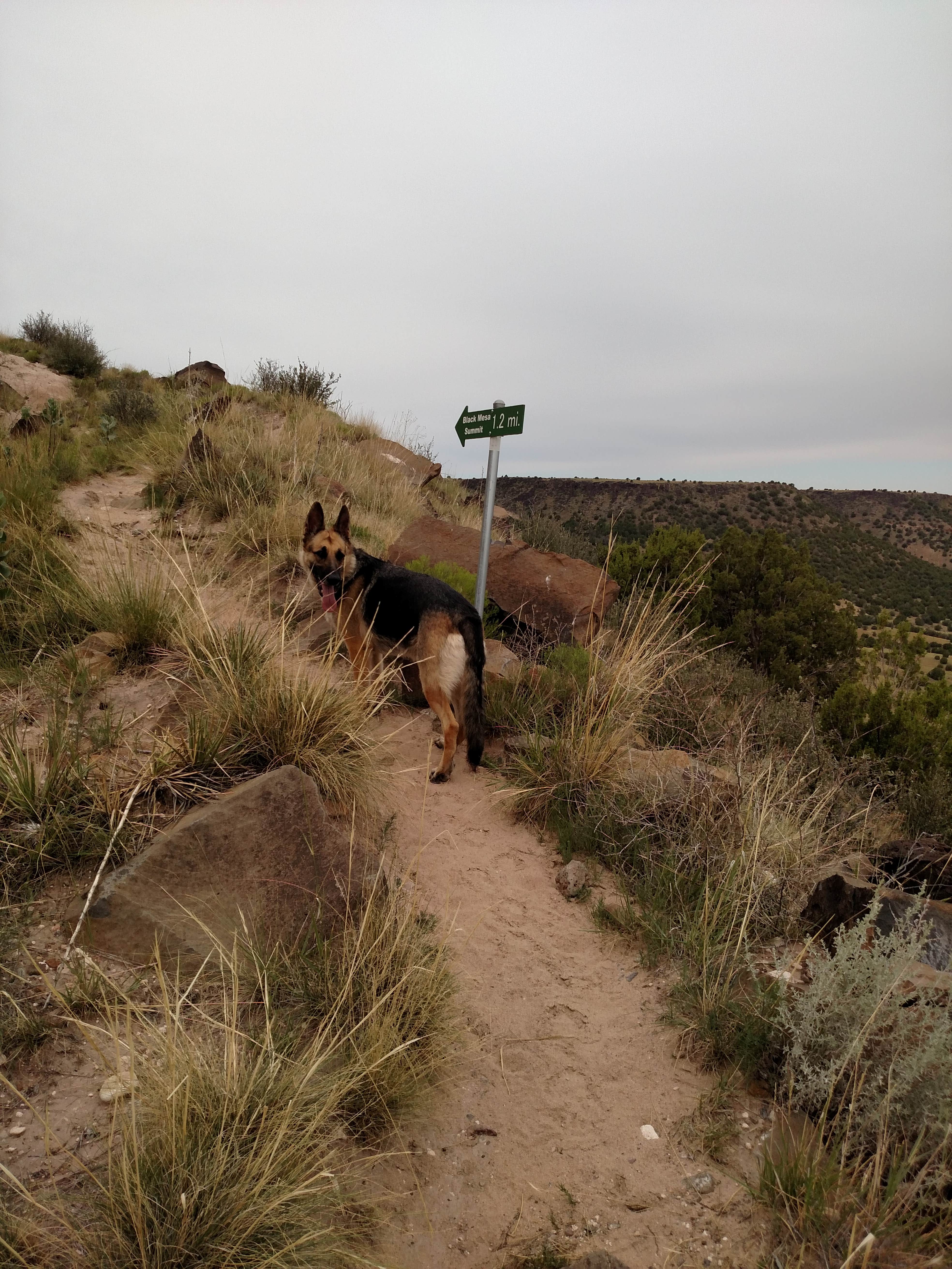 Camper submitted image from Black Mesa State Park Campground - 3