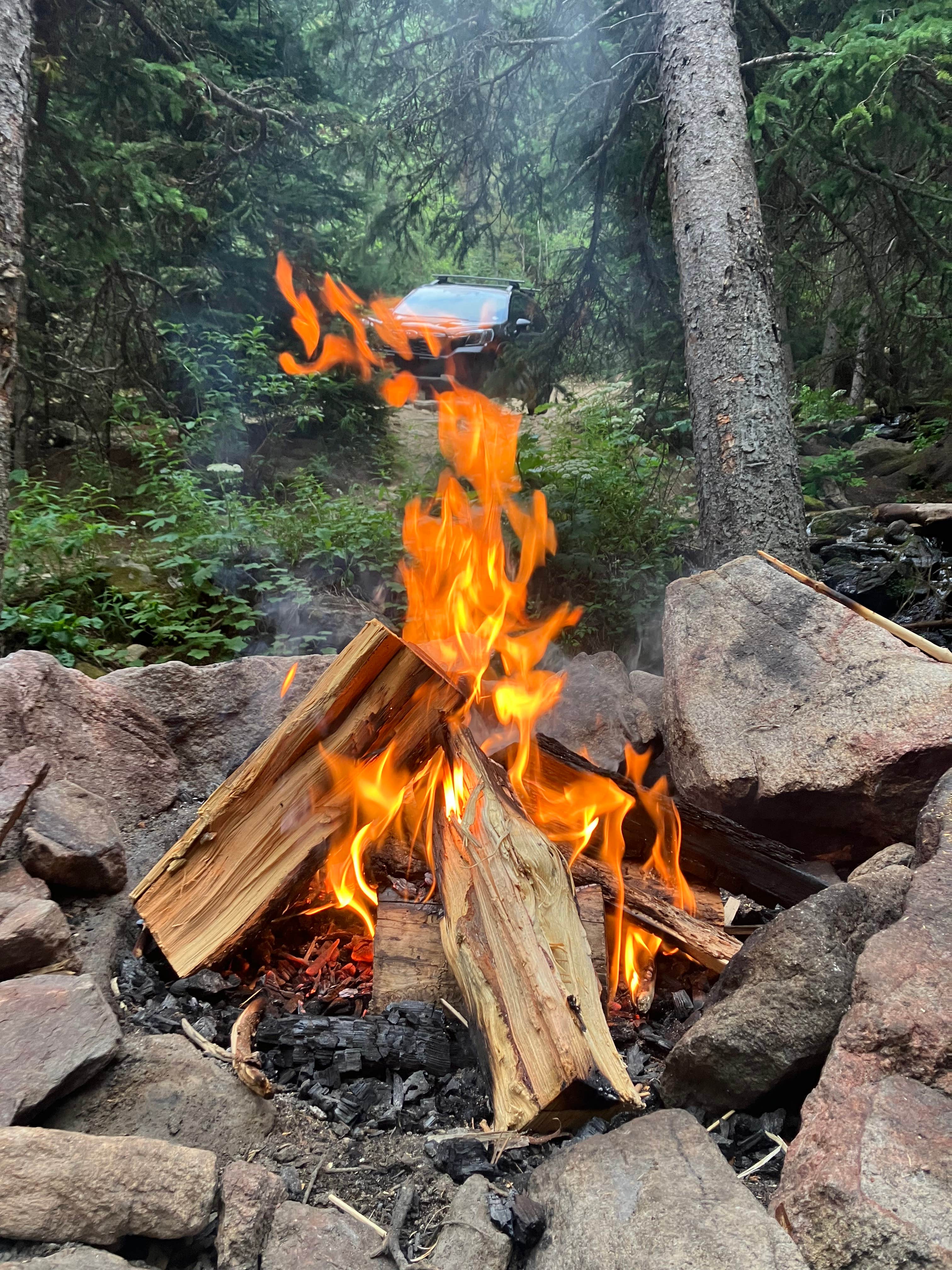 Camper submitted image from Allenspark Dispersed Camping - 1