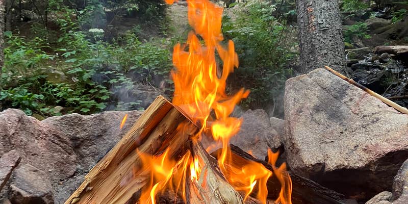 Camper submitted image from Allenspark Dispersed Camping