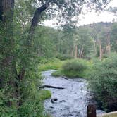 Review photo of Tolby Campground — Cimarron Canyon State Park by Steve & Ashley  G., July 30, 2019