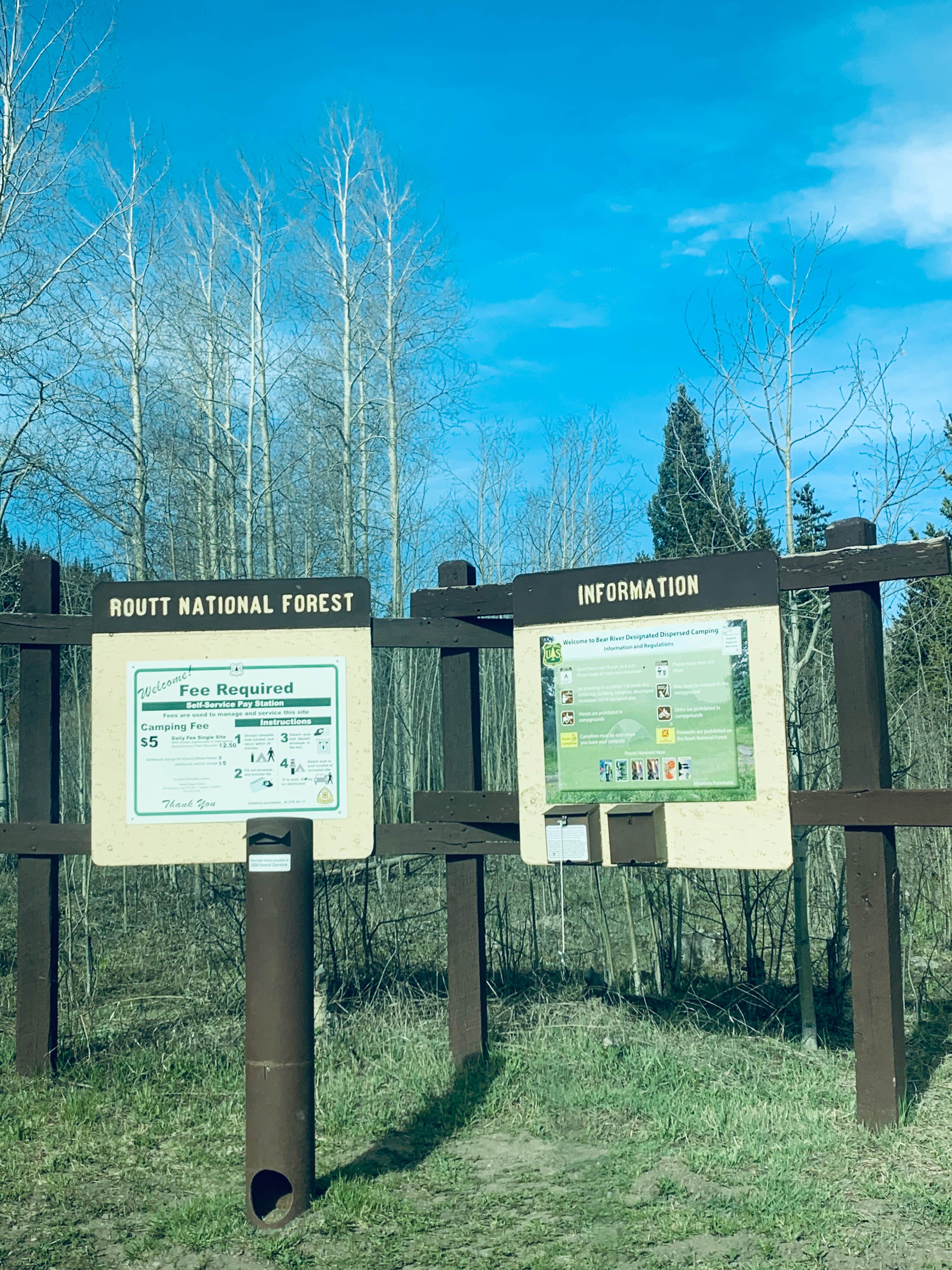 Camper-submitted photo at Bear River Designated Dispersed near Steamboat Springs, CO
