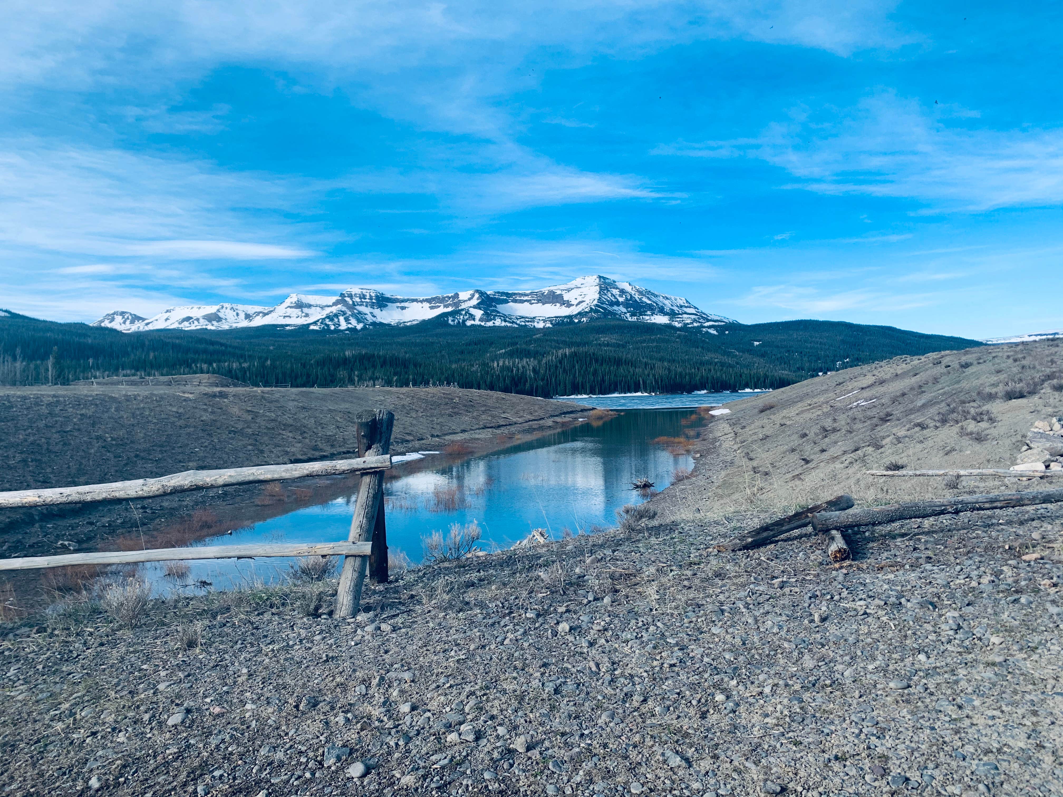 Camper-submitted photo at Bear River Designated Dispersed near Steamboat Springs, CO