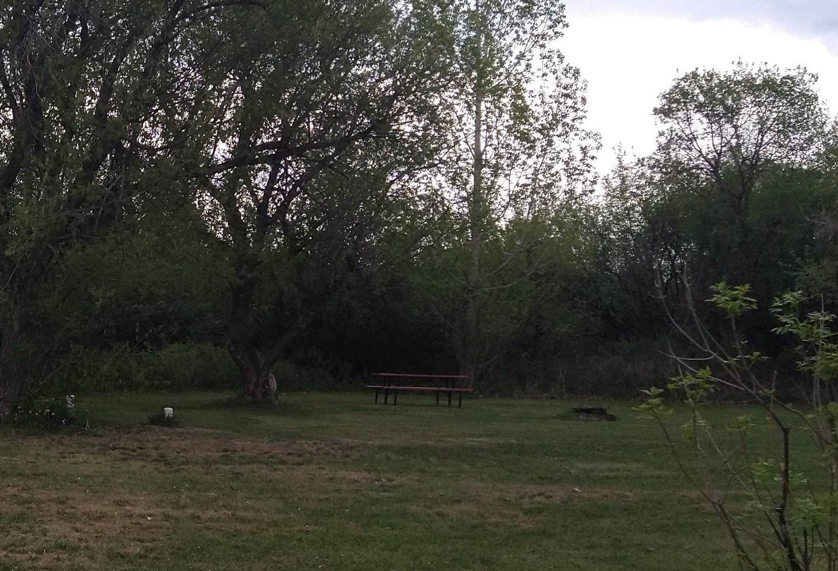Camping near BLM Lonesome Lake: Evergreen Campground, Havre, Montana