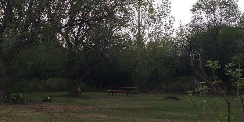 Camper submitted image from Evergreen Campground