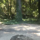 Review photo of Parker's Resort by Gustavo M., July 30, 2019