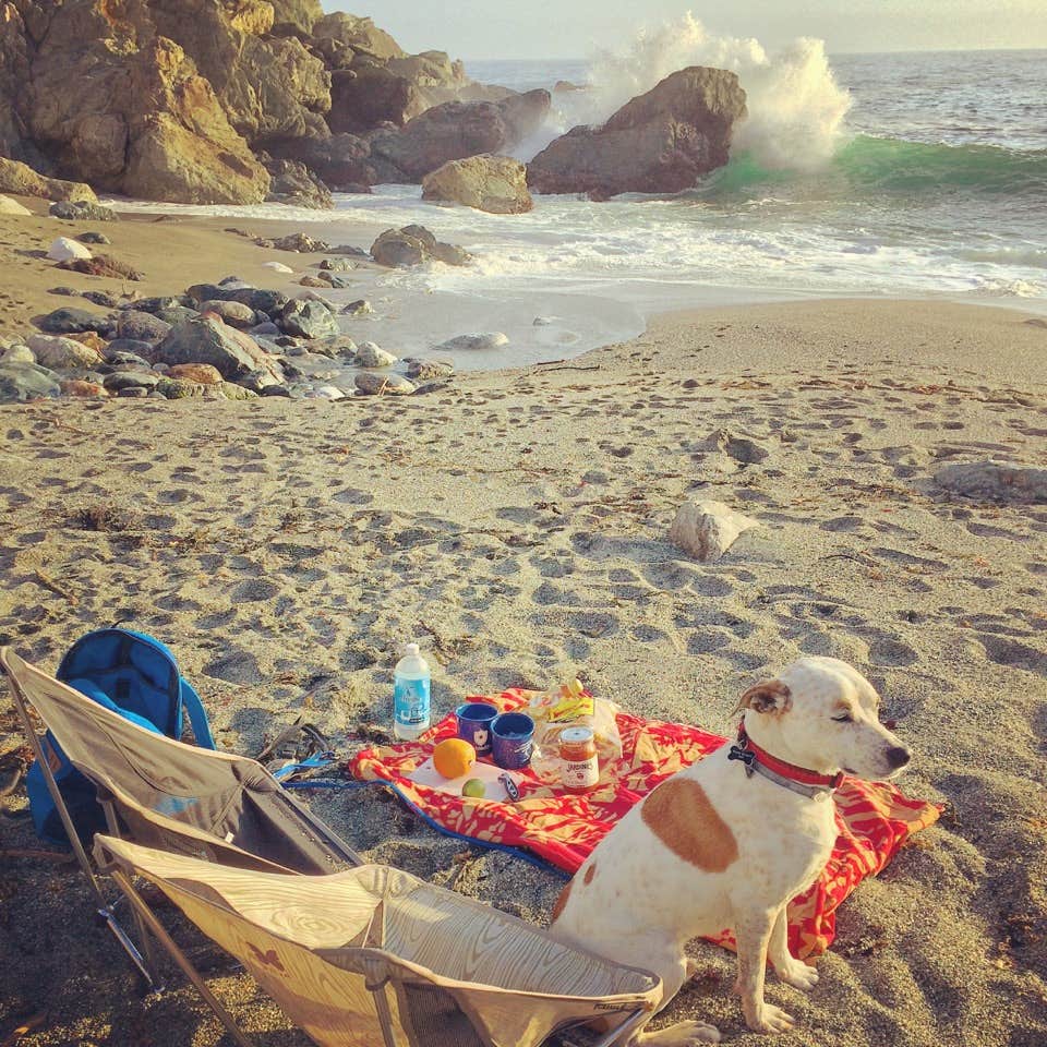 The Camp Kit's photo of camping with pets at Limekiln State Park Campground — TEMPORARILY CLOSED near Big Sur, CA