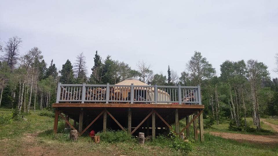 Camper submitted image from Grizzly Ridge Yurt - 2