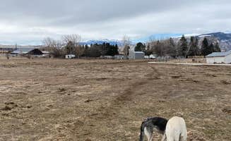 John Y.'s photo of camping with pets at Silverside near Frannie, WY