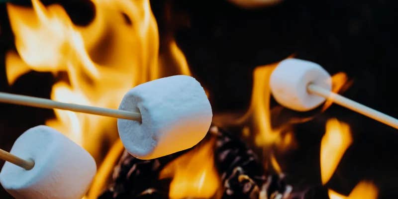 Camper submitted image from Camp Firefly