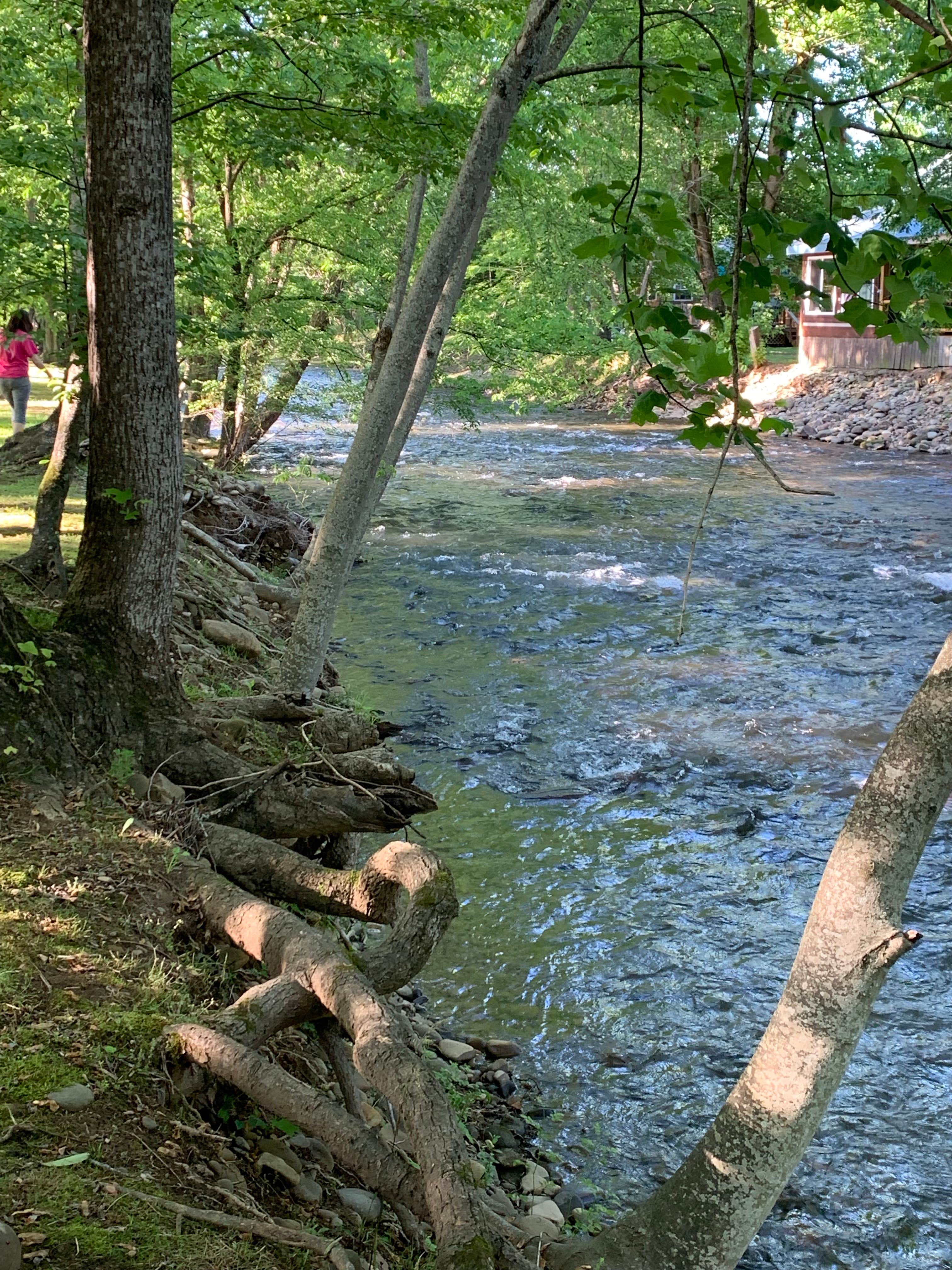 Camper submitted image from Triple Creek Campground - 5