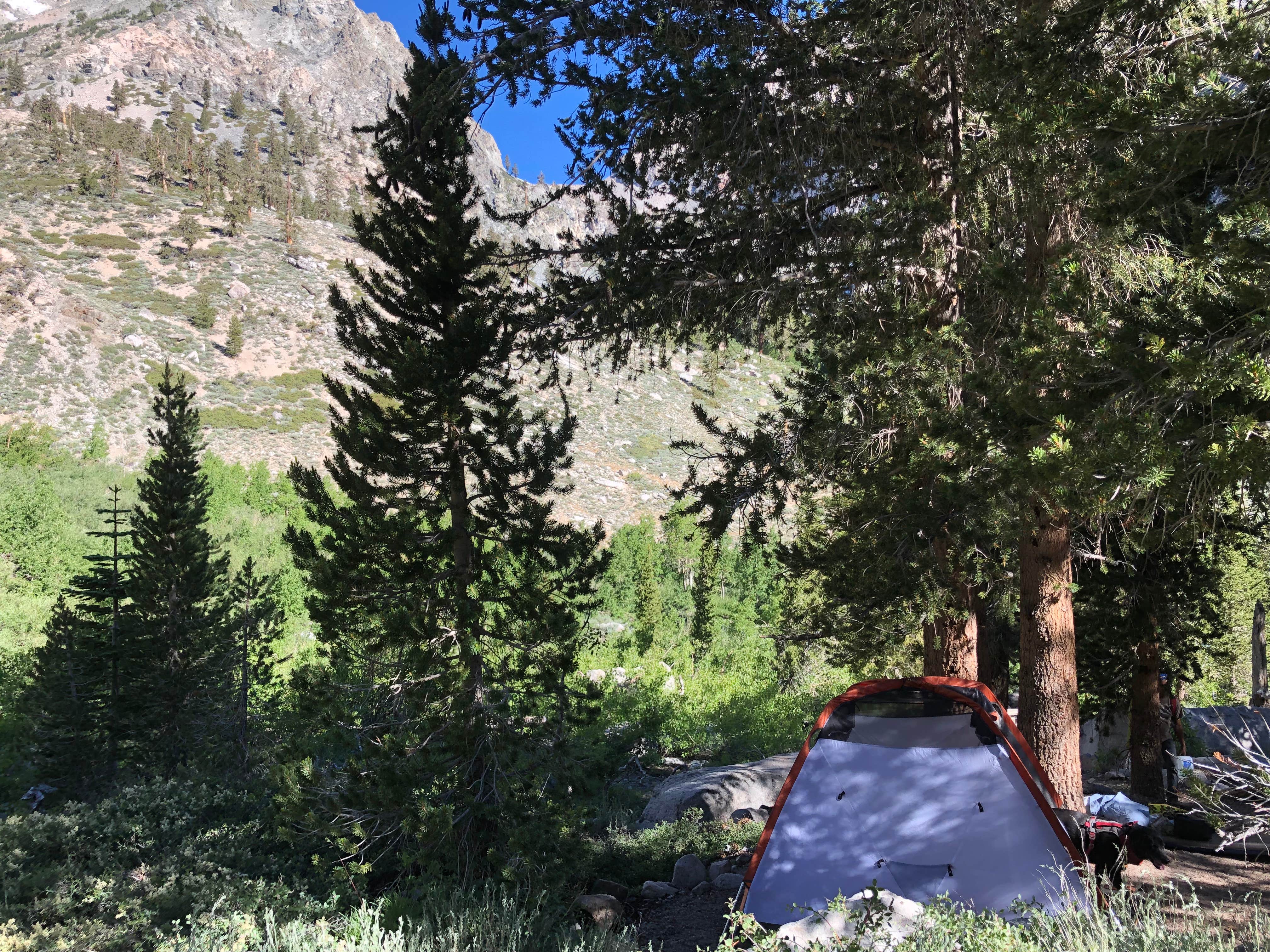 Camper submitted image from Onion Valley - 3