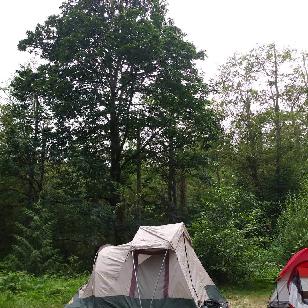 Niki D.'s photo at Dash Point State Park Campground near Gig Harbor, WA