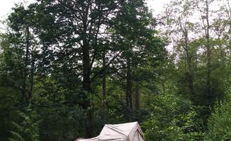 Niki D.'s photo at Dash Point State Park Campground near Gig Harbor, WA