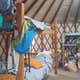 Grizzly Ridge Yurt