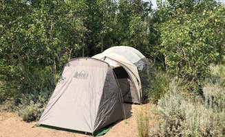 Sarah P.'s photo at Four Jeffery Campground near Bishop, CA
