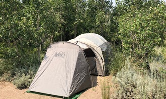 Camping near Bishop Park Group: Four Jeffery Campground, Bishop, California