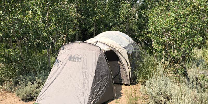 Camper submitted image from Four Jeffery Campground