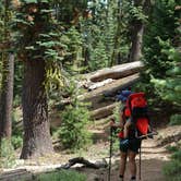 Review photo of Manzanita Lake Campground — Lassen Volcanic National Park by Aldy Y., July 30, 2019