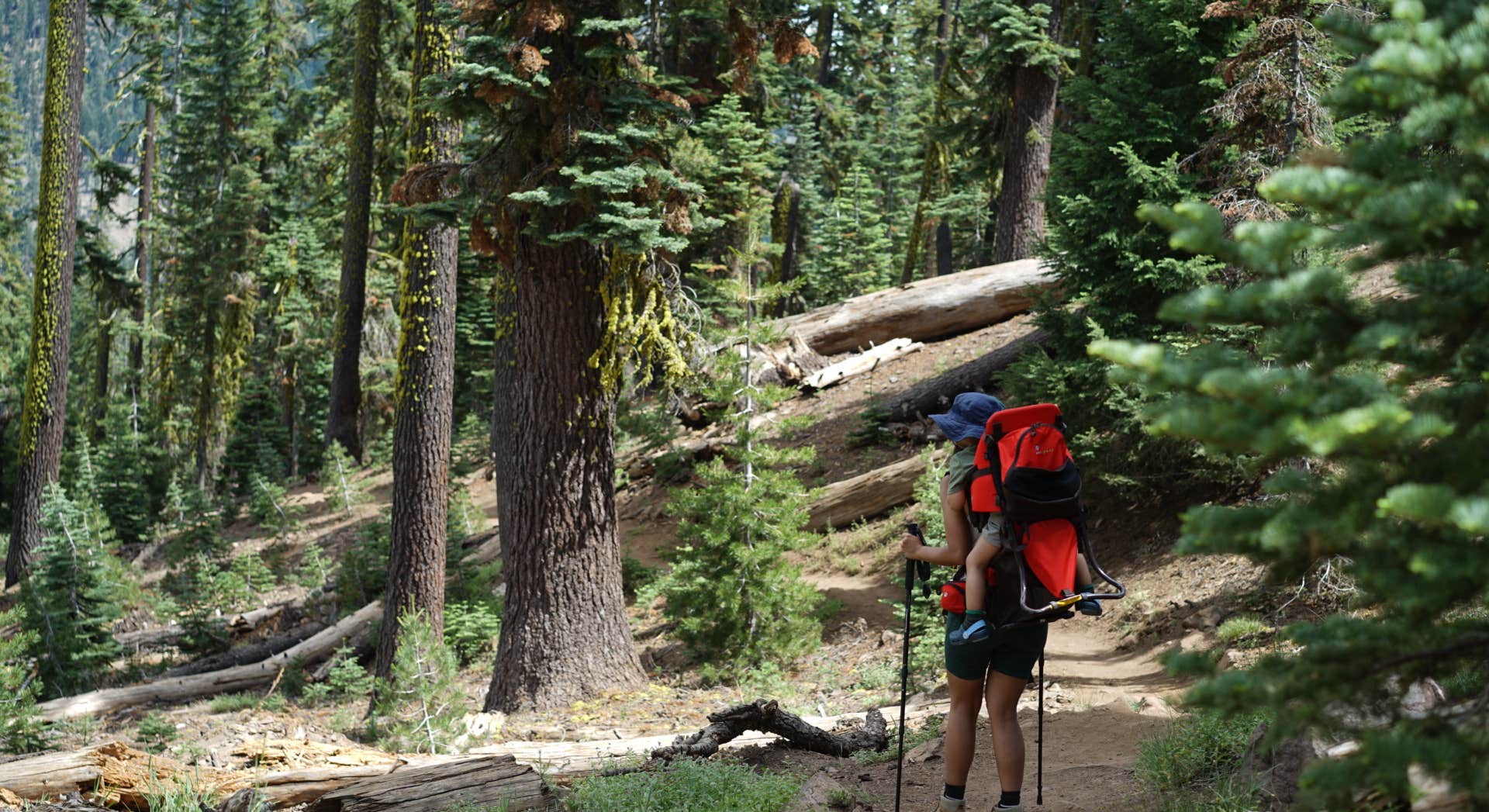 A Backpacker Hikes Near Manzanita Lake Campground in Lassen Volcanic National Park