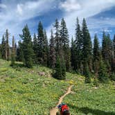 Review photo of Manzanita Lake Campground — Lassen Volcanic National Park by Aldy Y., July 30, 2019