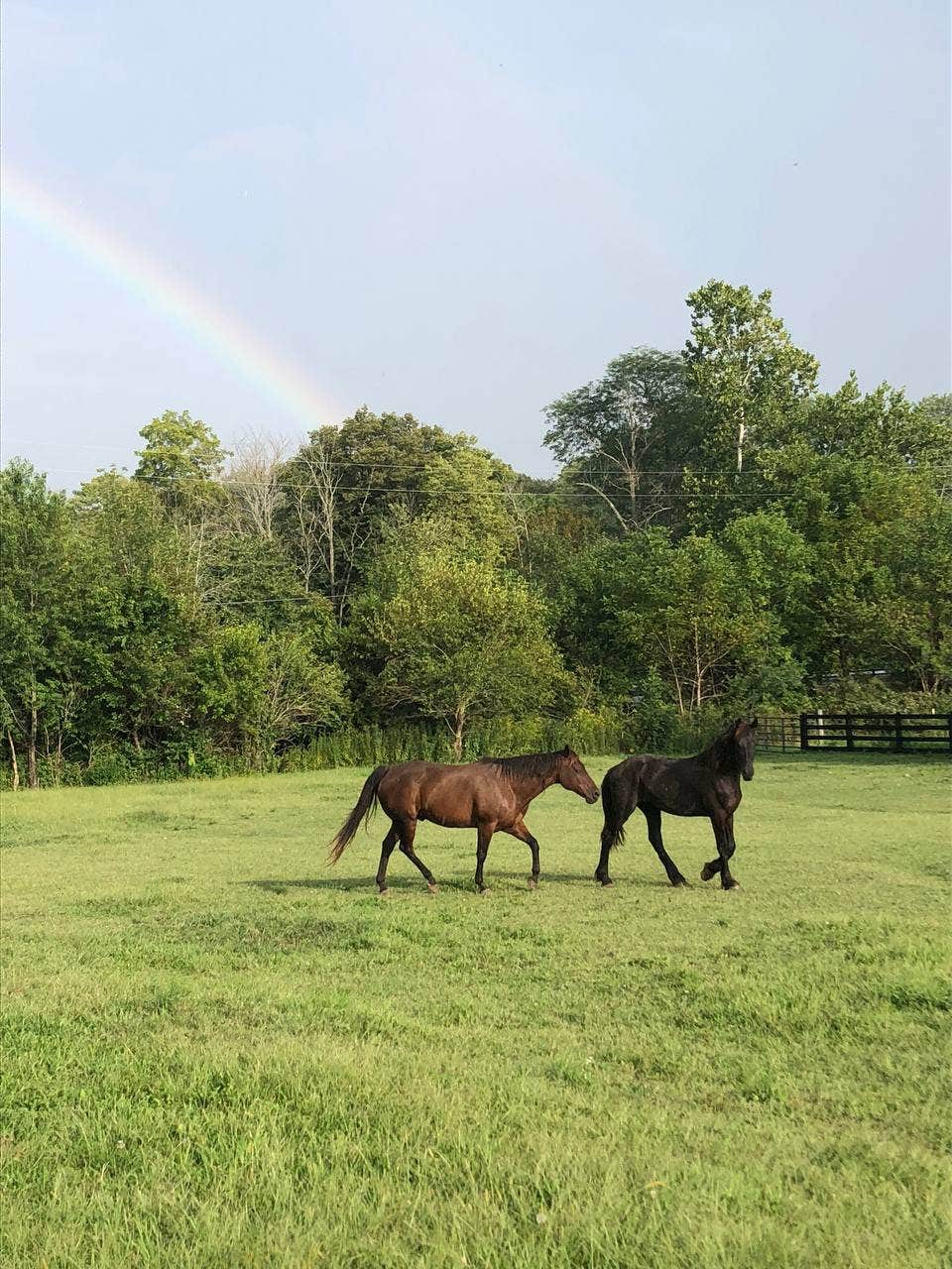 Camping near Lake Loramie State Park Campground: The Hidden Gem, Greenville, Ohio