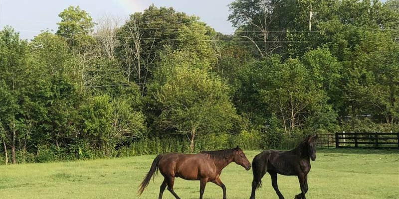 Camper submitted image from The Hidden Gem