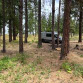 Review photo of L.T. Murray Wildlife Area by Robert C., July 23, 2025