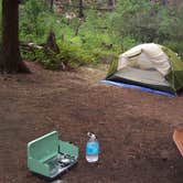 Review photo of Pingree Road Dispersed Camping by Nidhi S., July 24, 2025