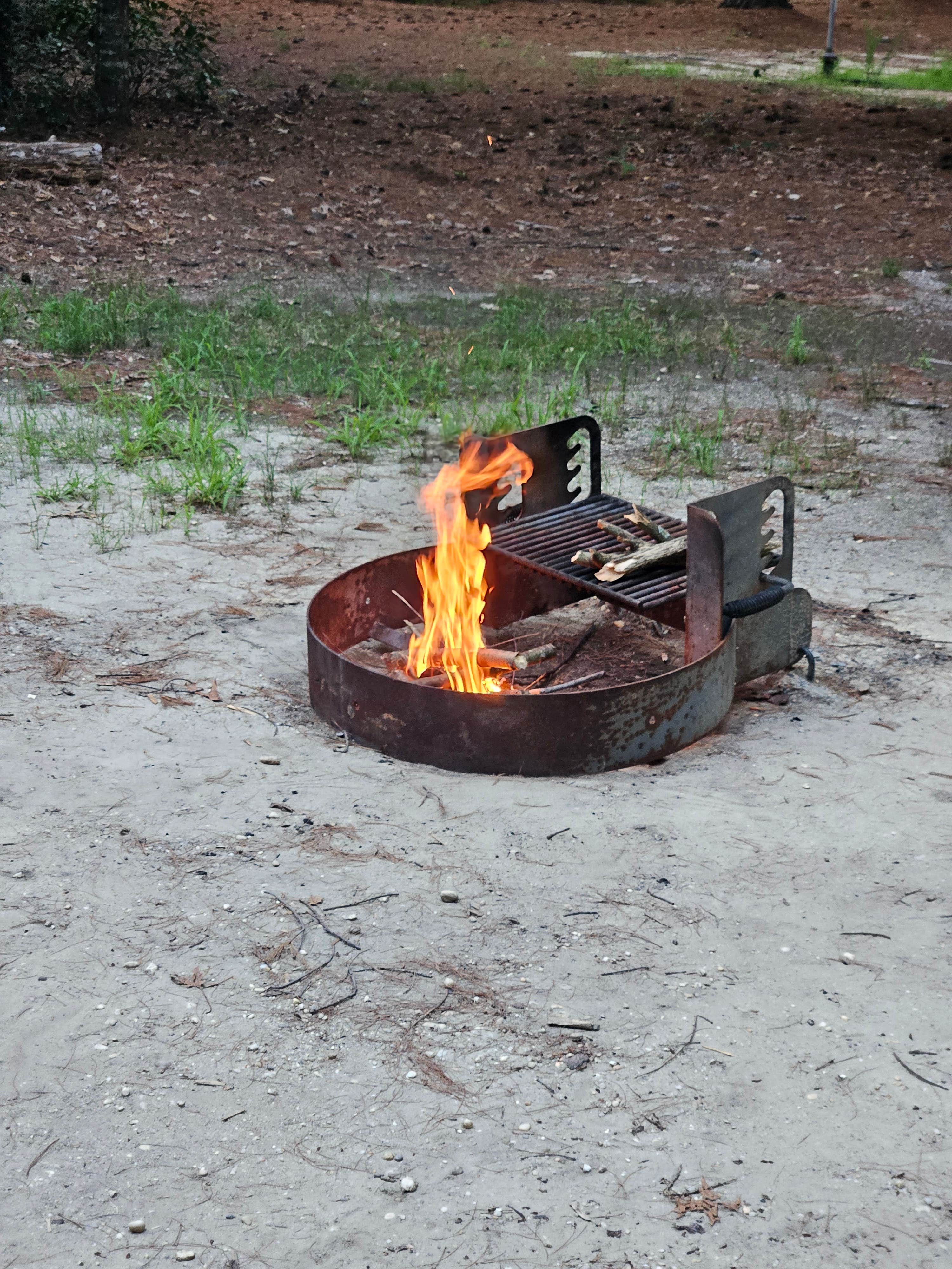 Camper-submitted photo at Belleplain State Forest near Downe, NJ