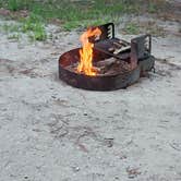Review photo of Belleplain State Forest by Frank J., July 24, 2025