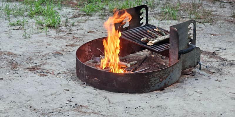 Camper submitted image from Belleplain State Forest