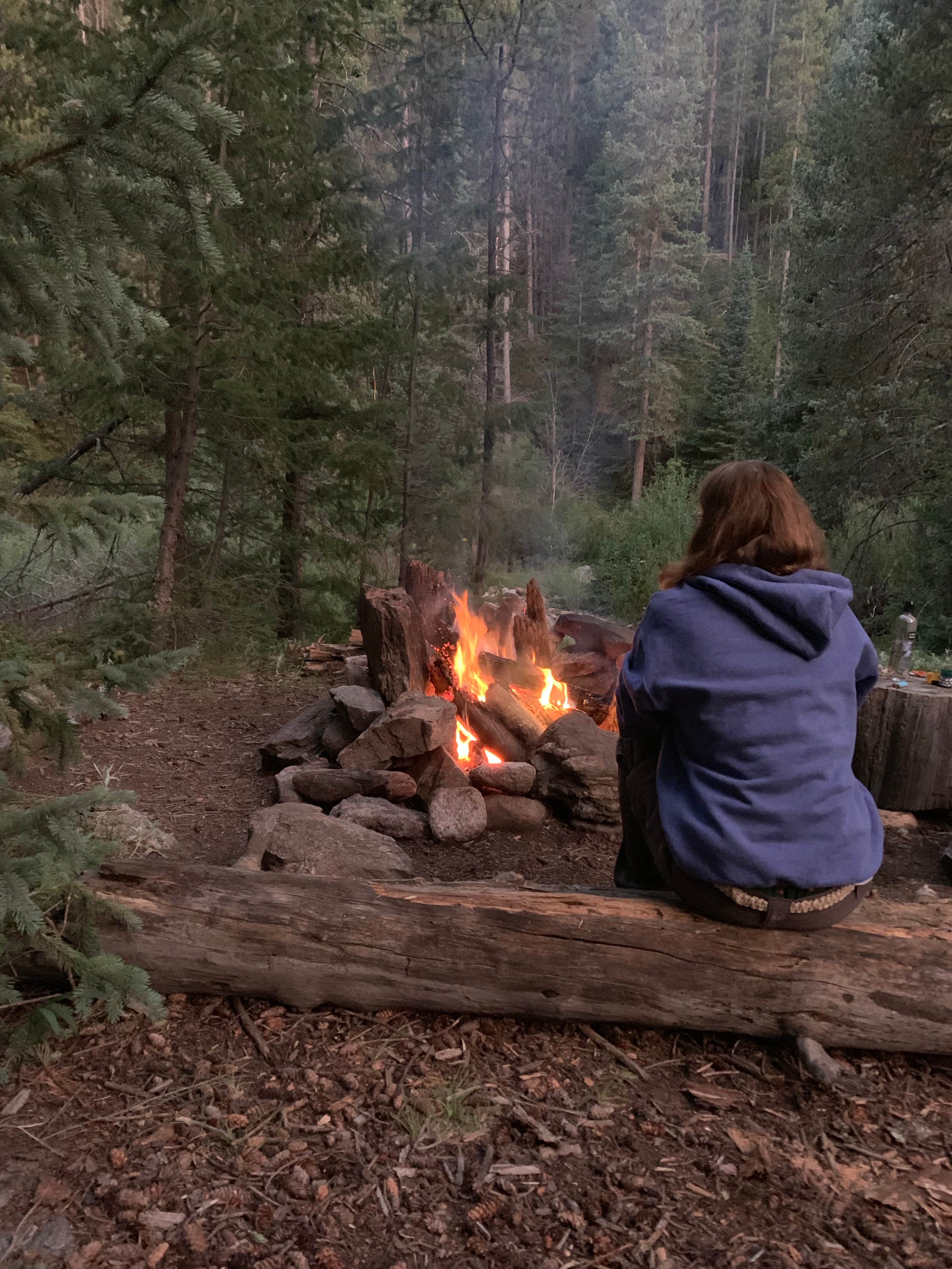 Camper submitted image from Ceran St. Vrain Trail Dispersed Camping - 4