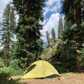 Review photo of Ceran St. Vrain Trail Dispersed Camping by Dani S., July 31, 2019