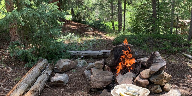 Camper submitted image from Ceran St. Vrain Trail Dispersed Camping