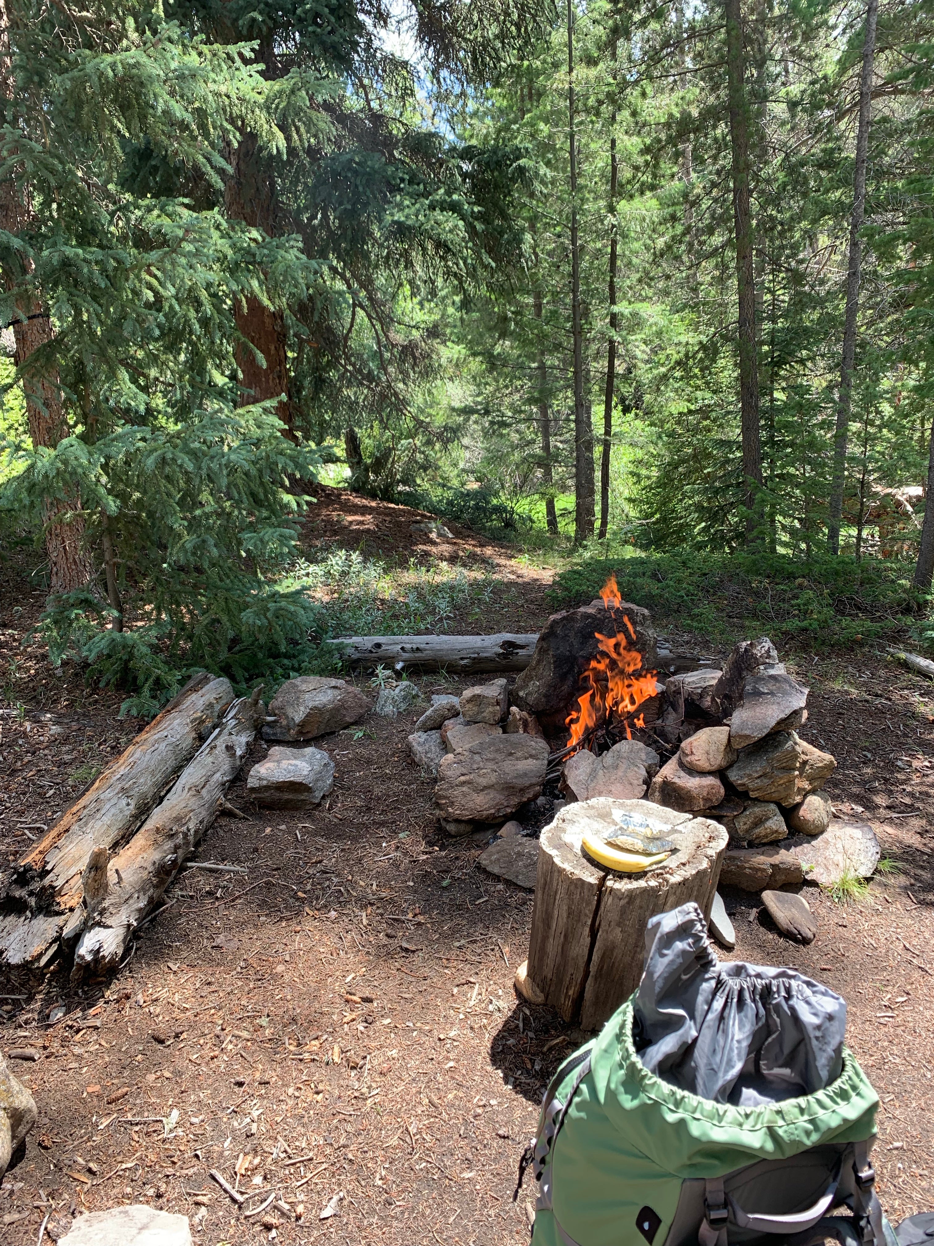 Camper submitted image from Ceran St. Vrain Trail Dispersed Camping - 1