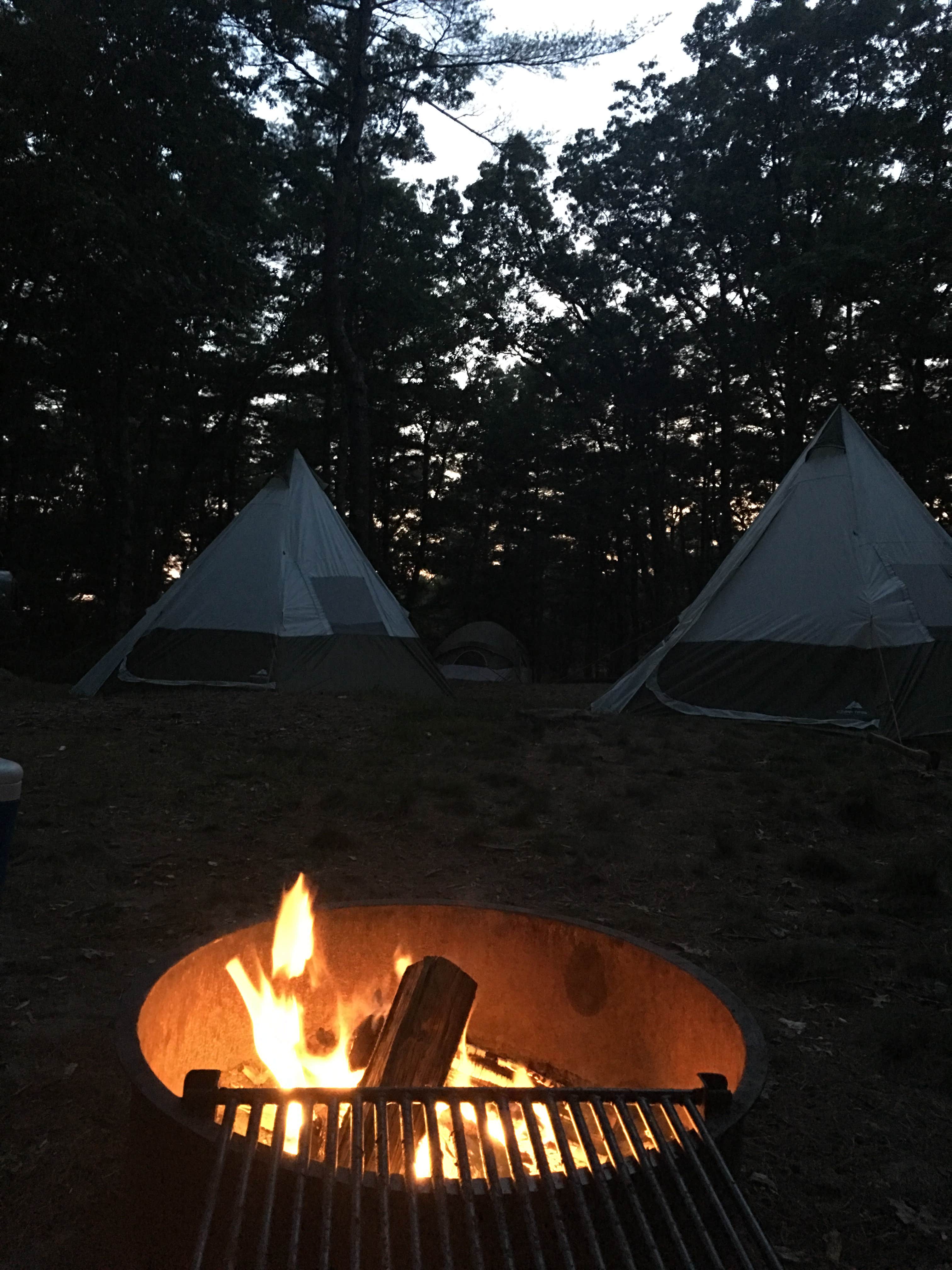 Camper submitted image from Massasoit State Park Campground - 5