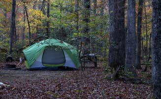 The Dyrt's photo at Turkey Run Ridge Group Campground — Prince William Forest Park near La Plata, MD