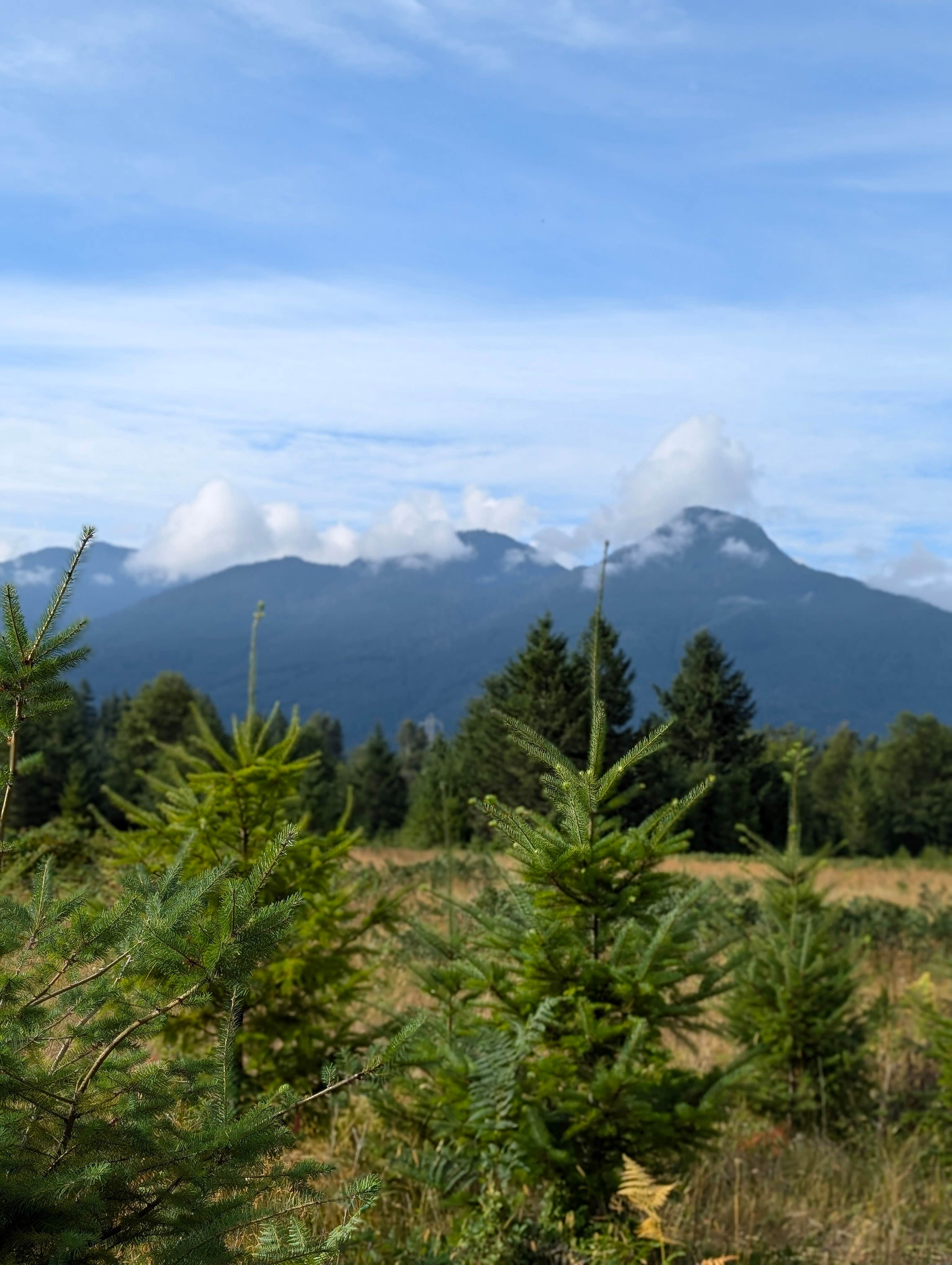 Camper-submitted photo at Chom's RV Campground near Concrete, WA